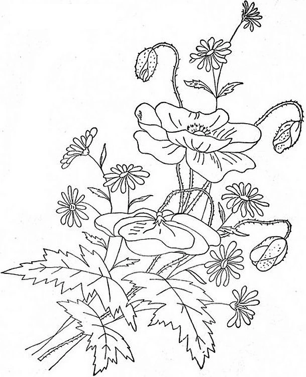 Coloring book of fragrant poppies